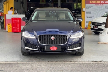 XF